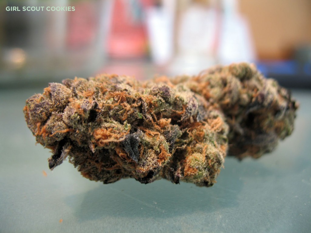 Girl Scout Cookies