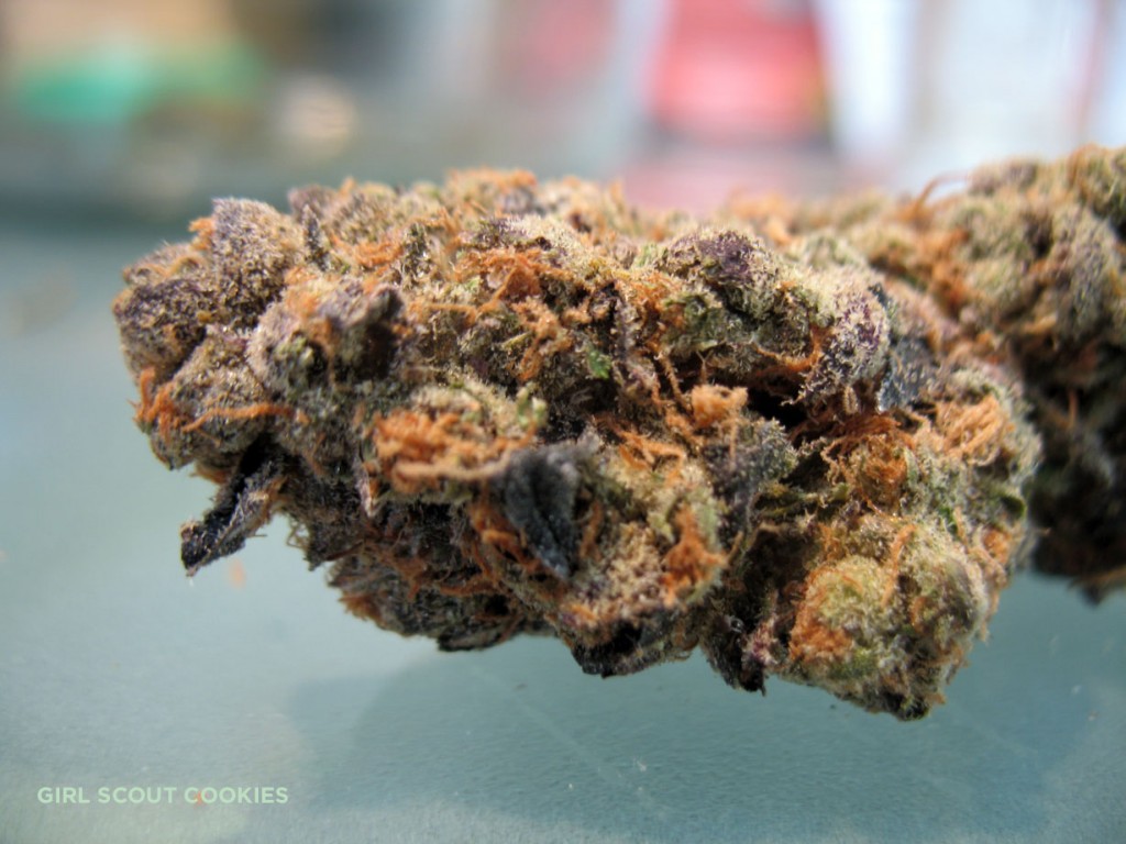 Girl Scout Cookies