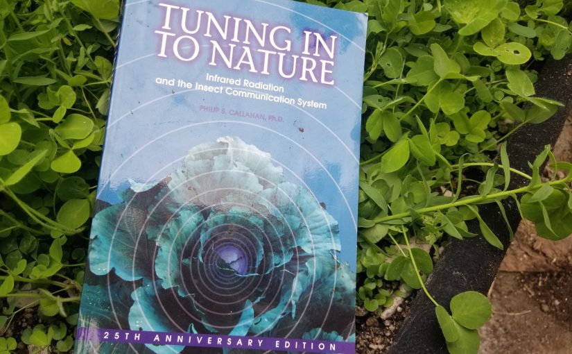 Tuning Into Nature